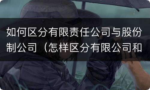 如何区分有限责任公司与股份制公司（怎样区分有限公司和股份有限公司）