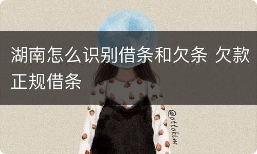 湖南怎么识别借条和欠条 欠款正规借条