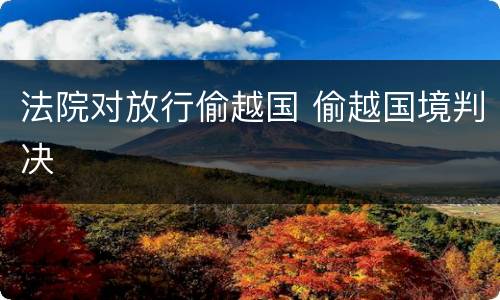 法院对放行偷越国 偷越国境判决