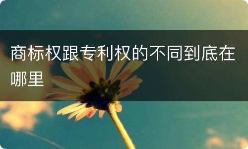 商标权跟专利权的不同到底在哪里
