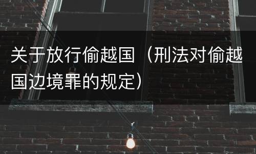 关于放行偷越国（刑法对偷越国边境罪的规定）
