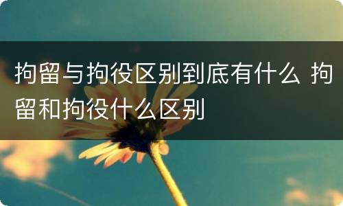 拘留与拘役区别到底有什么 拘留和拘役什么区别