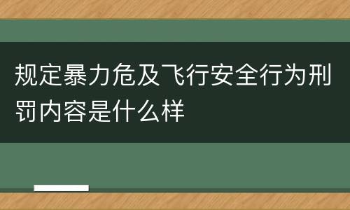 规定暴力危及飞行安全行为刑罚内容是什么样