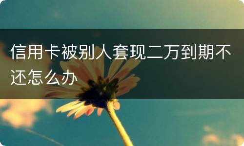 信用卡被别人套现二万到期不还怎么办