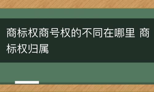 商标权商号权的不同在哪里 商标权归属
