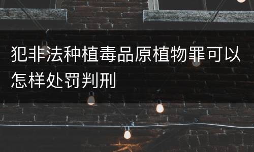 犯非法种植毒品原植物罪可以怎样处罚判刑