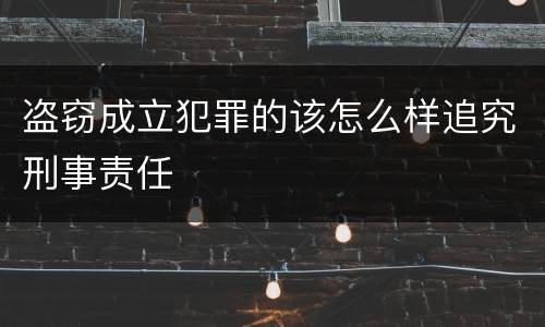 盗窃成立犯罪的该怎么样追究刑事责任
