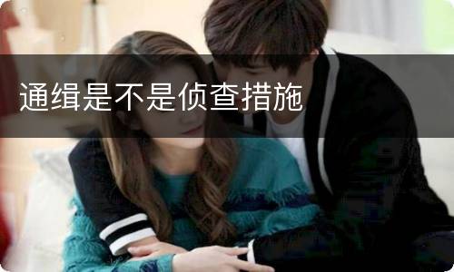 通缉是不是侦查措施