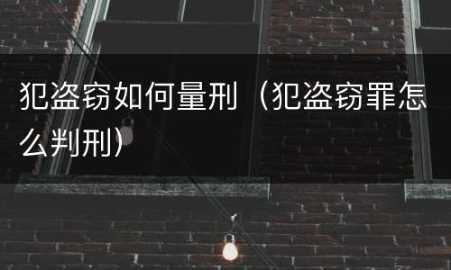 犯盗窃如何量刑（犯盗窃罪怎么判刑）