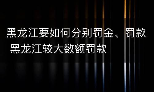 黑龙江要如何分别罚金、罚款 黑龙江较大数额罚款