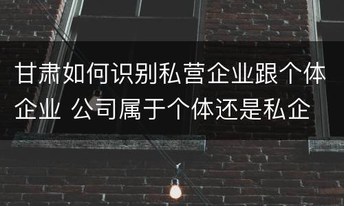 甘肃如何识别私营企业跟个体企业 公司属于个体还是私企