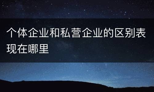 个体企业和私营企业的区别表现在哪里