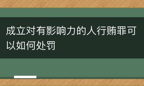 成立对有影响力的人行贿罪可以如何处罚