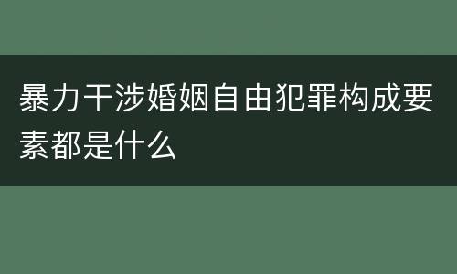 暴力干涉婚姻自由犯罪构成要素都是什么