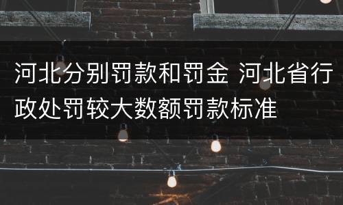 河北分别罚款和罚金 河北省行政处罚较大数额罚款标准