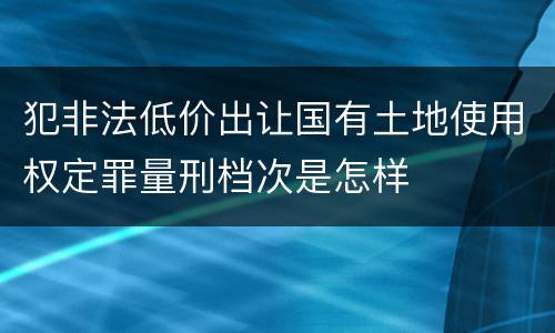 犯非法低价出让国有土地使用权定罪量刑档次是怎样
