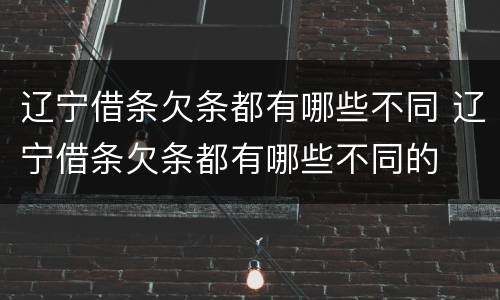 辽宁借条欠条都有哪些不同 辽宁借条欠条都有哪些不同的