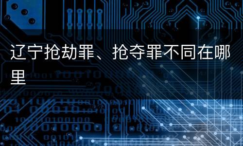辽宁抢劫罪、抢夺罪不同在哪里