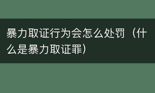 暴力取证行为会怎么处罚（什么是暴力取证罪）