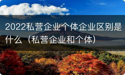 2022私营企业个体企业区别是什么（私营企业和个体）