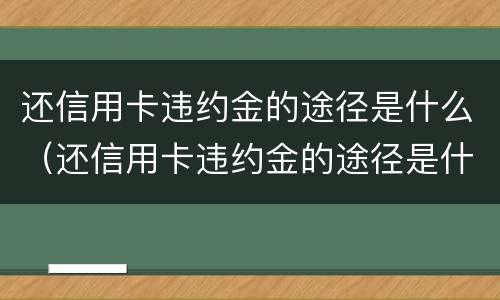 还信用卡违约金的途径是什么（还信用卡违约金的途径是什么意思）