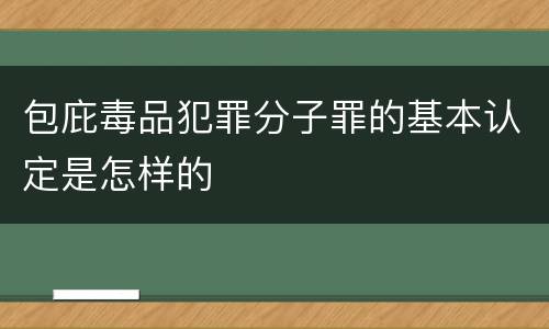 包庇毒品犯罪分子罪的基本认定是怎样的