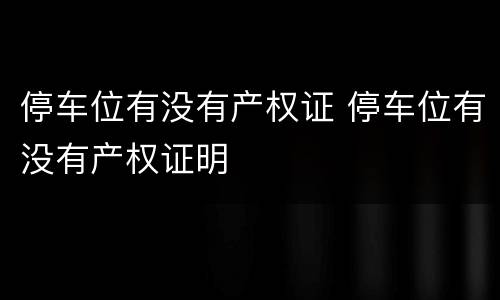停车位有没有产权证 停车位有没有产权证明