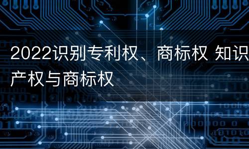 2022识别专利权、商标权 知识产权与商标权