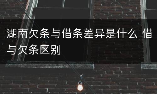 湖南欠条与借条差异是什么 借与欠条区别