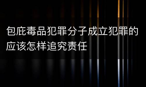 包庇毒品犯罪分子成立犯罪的应该怎样追究责任