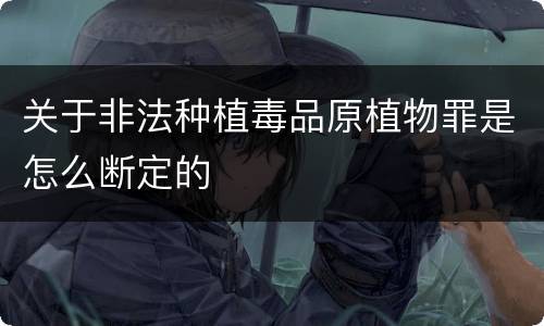 关于非法种植毒品原植物罪是怎么断定的