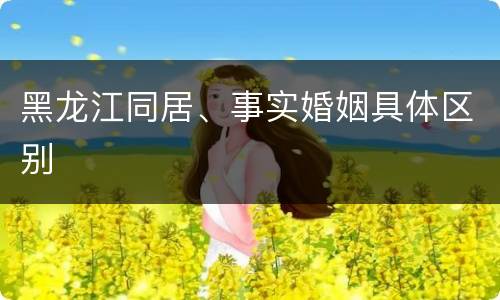 黑龙江同居、事实婚姻具体区别
