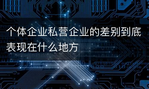 个体企业私营企业的差别到底表现在什么地方