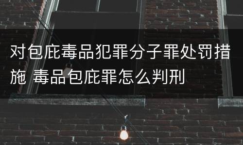 对包庇毒品犯罪分子罪处罚措施 毒品包庇罪怎么判刑