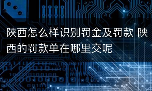 陕西怎么样识别罚金及罚款 陕西的罚款单在哪里交呢