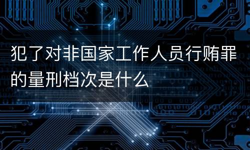犯了对非国家工作人员行贿罪的量刑档次是什么