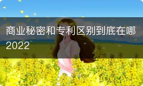商业秘密和专利区别到底在哪2022