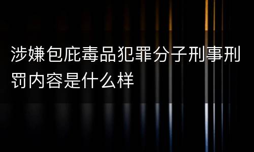 涉嫌包庇毒品犯罪分子刑事刑罚内容是什么样