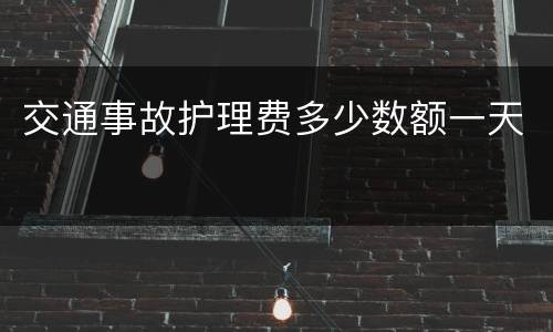 交通事故护理费多少数额一天