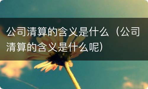 公司清算的含义是什么（公司清算的含义是什么呢）