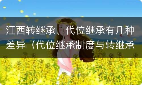 江西转继承、代位继承有几种差异（代位继承制度与转继承制度有哪些不同）