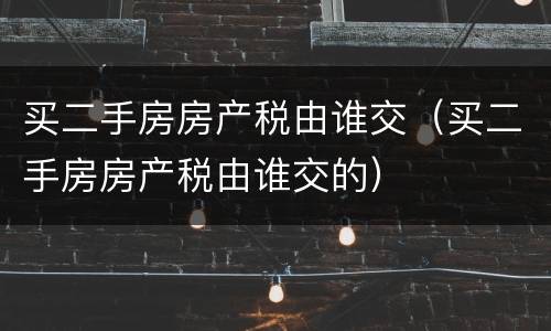 买二手房房产税由谁交（买二手房房产税由谁交的）