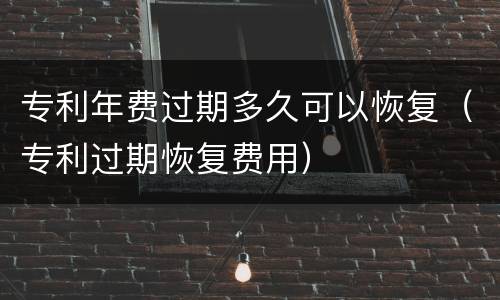 专利年费过期多久可以恢复（专利过期恢复费用）