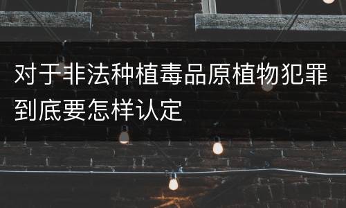 对于非法种植毒品原植物犯罪到底要怎样认定