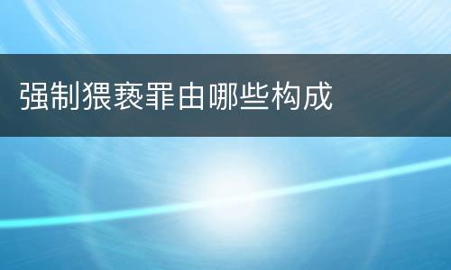 强制猥亵罪由哪些构成