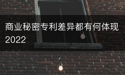 商业秘密专利差异都有何体现2022