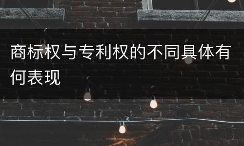 商标权与专利权的不同具体有何表现
