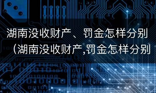湖南没收财产、罚金怎样分别（湖南没收财产,罚金怎样分别缴纳）