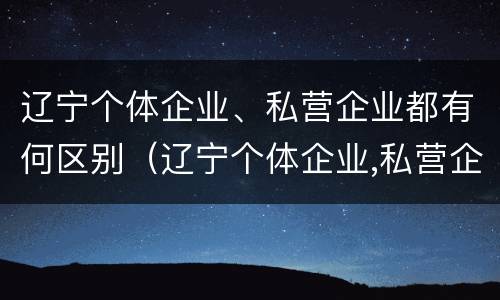 辽宁个体企业、私营企业都有何区别（辽宁个体企业,私营企业都有何区别呢）