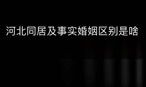 河北同居及事实婚姻区别是啥